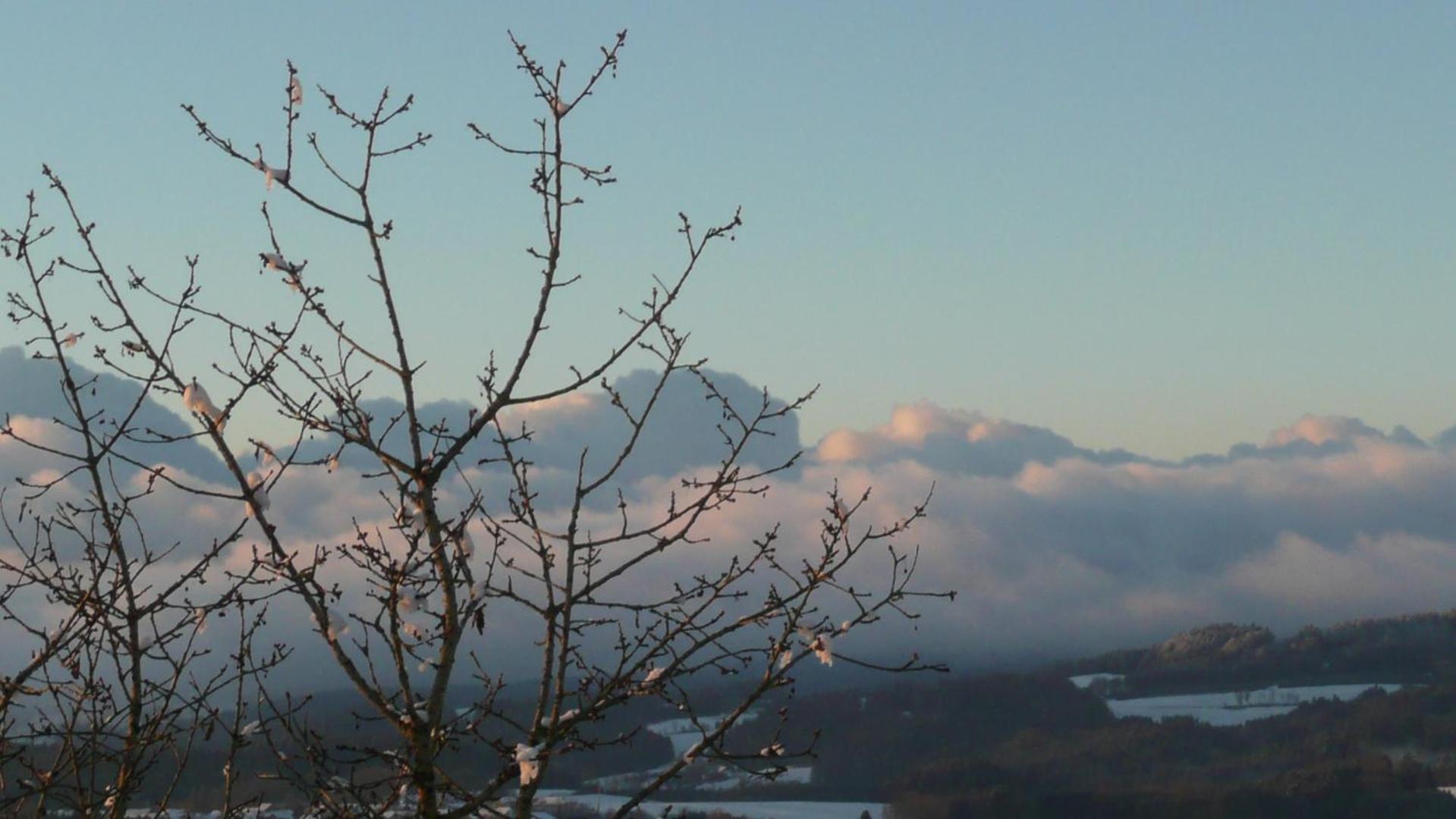 Ferienwohnungen Alpenblick Mit Garten -Panoramasauna- Kirchdorf im Wald Εξωτερικό φωτογραφία